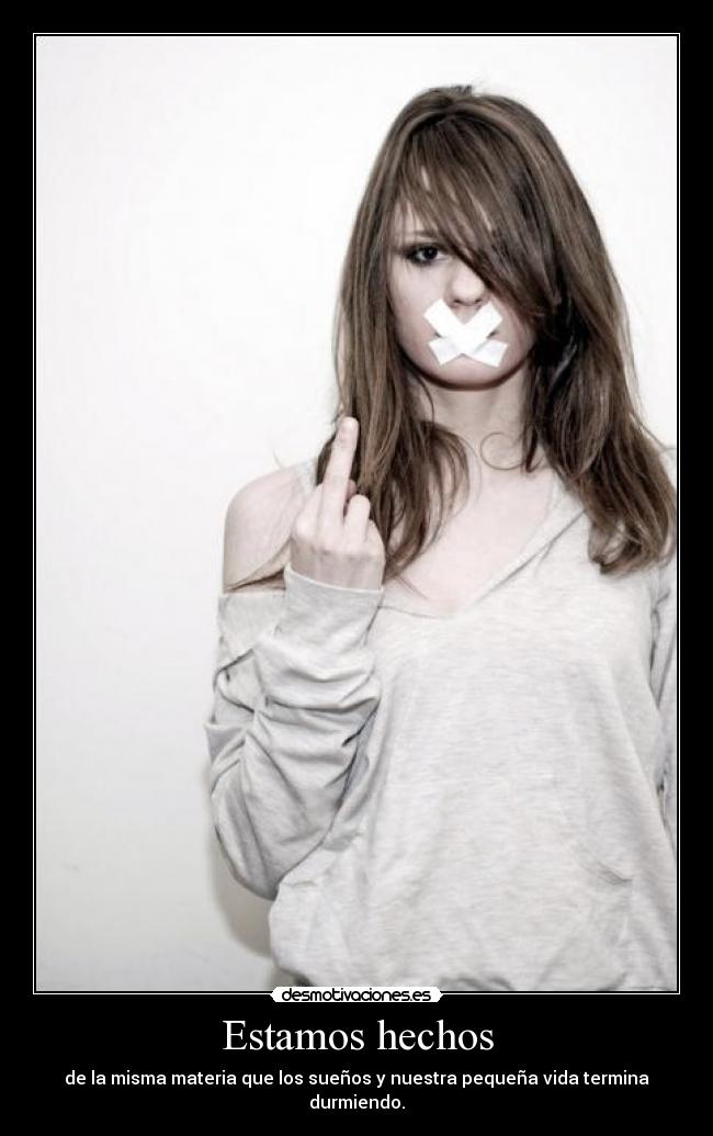 carteles estamos hechos misma materia que los suenos nuestra pequena vida termina durmiendo desmotivaciones