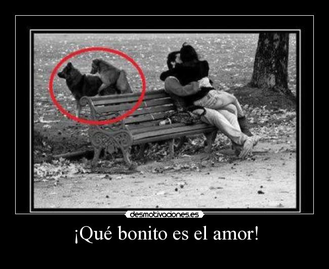 ¡Qué bonito es el amor! - 