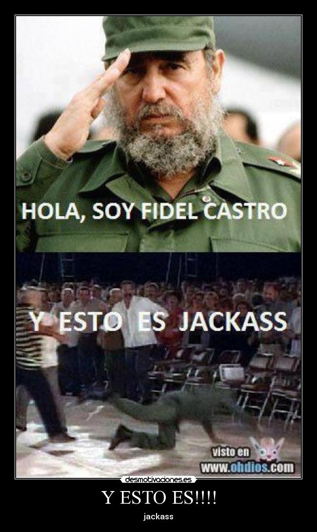 Y ESTO ES!!!! - jackass