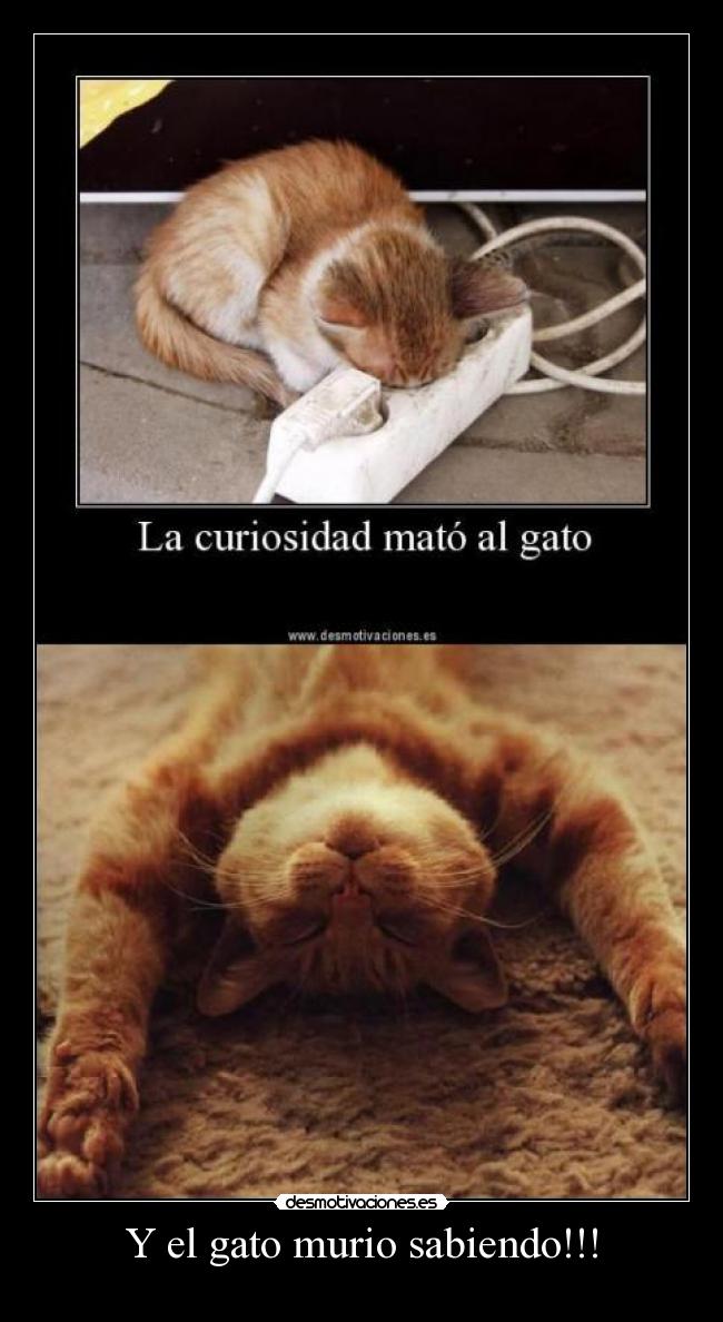 Y el gato murio sabiendo!!! -