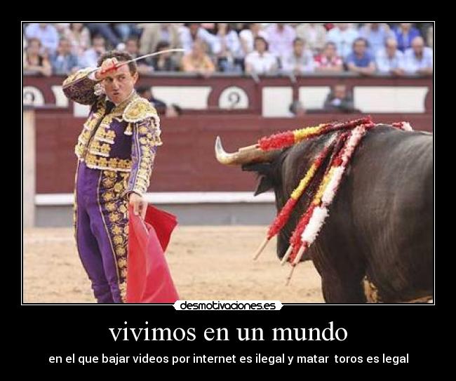 vivimos en un mundo - en el que bajar videos por internet es ilegal y matar toros es legal