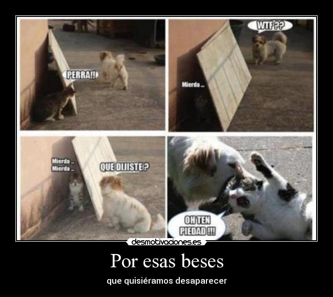 Por esas beses -