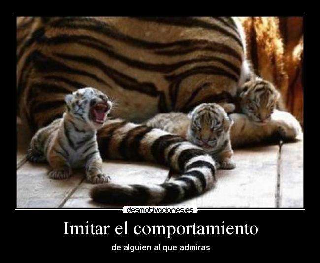 Imitar el comportamiento - de alguien al que admiras