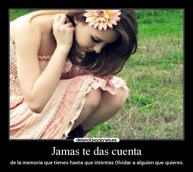 Jamas te das cuenta - de la memoria que tienes hasta que intentas Olvidar a alguien que quieres.