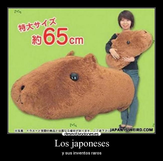 Los japoneses - y sus inventos raros