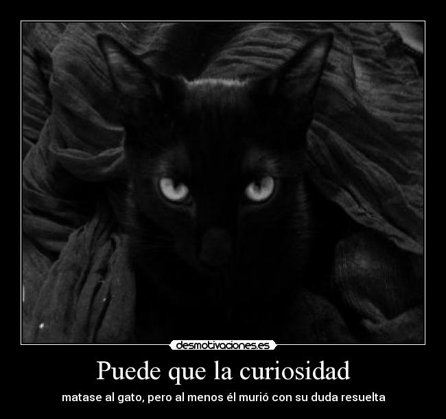 Puede que la curiosidad - matase al gato, pero al menos él murió con su duda resuelta