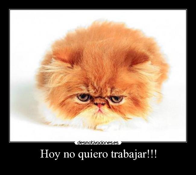 Hoy no quiero trabajar!!! - 