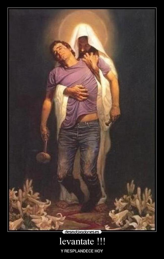 carteles zeuss desmotivaciones