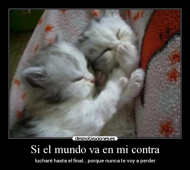 Si el mundo va en mi contra - lucharé hasta el final... porque nunca te voy a perder