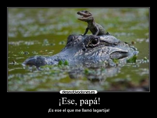 ¡Ese, papá! - 