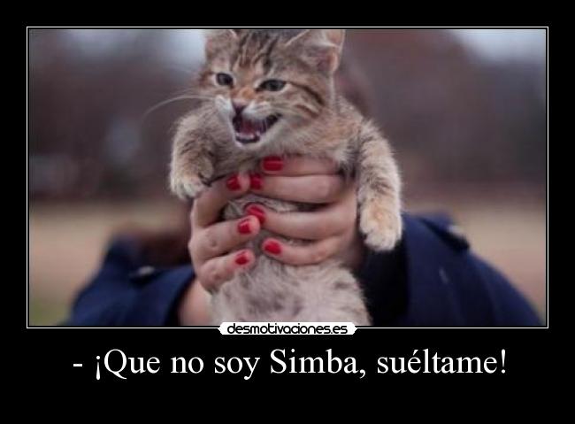 - ¡Que no soy Simba, suéltame! - 