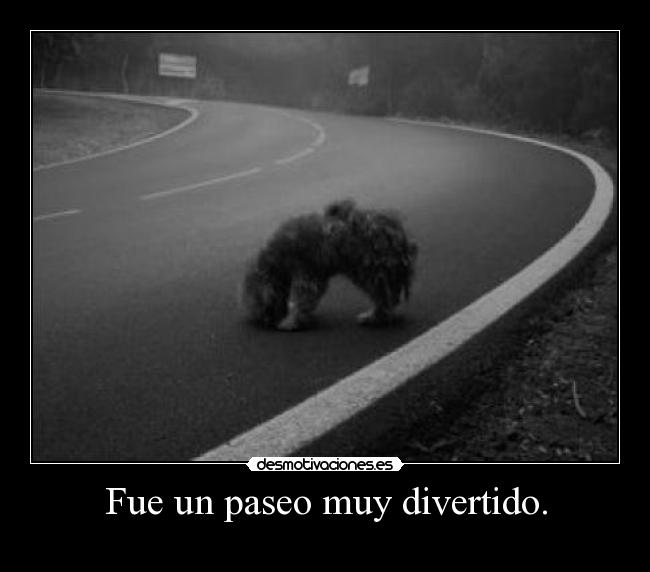 Fue un paseo muy divertido. - 