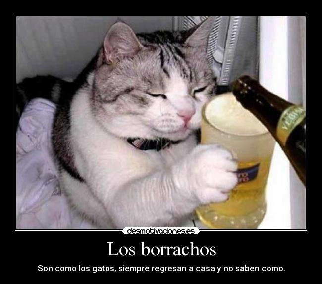 Los borrachos - 