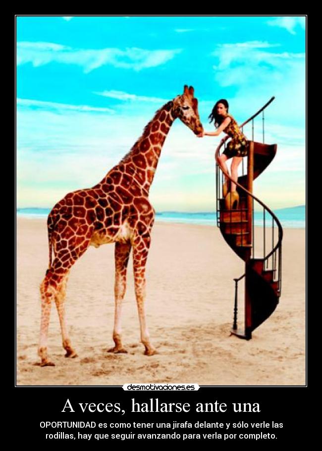 A veces, hallarse ante una - OPORTUNIDAD es como tener una jirafa delante y sólo verle las
rodillas, hay que seguir avanzando para verla por completo.