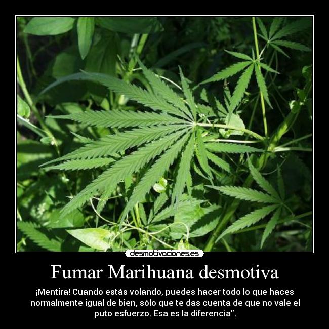 Fumar Marihuana desmotiva - 