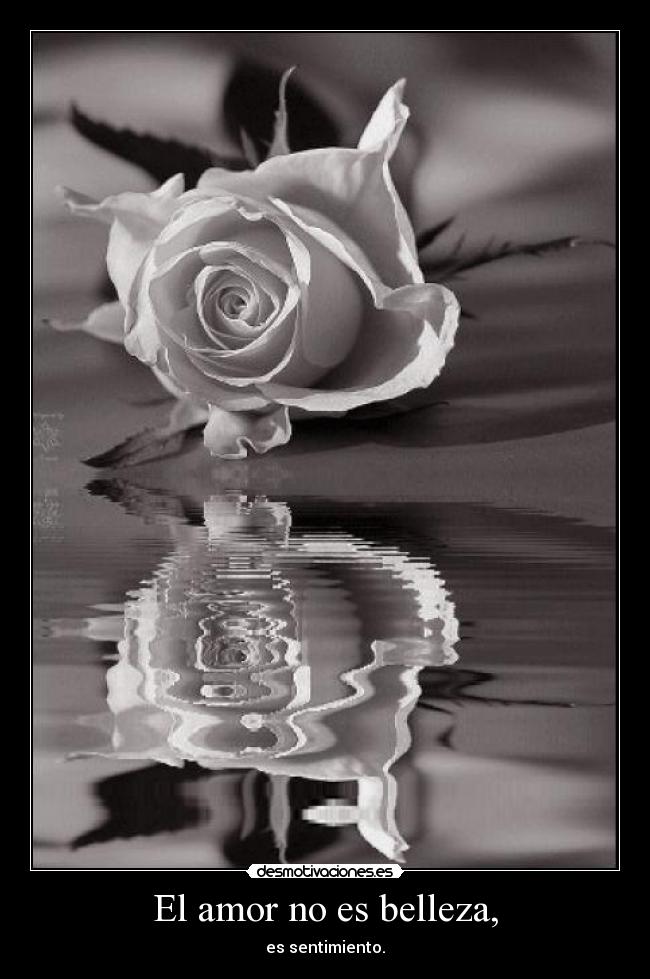 El amor no es belleza, - es sentimiento.