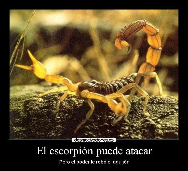 El escorpión puede atacar - Pero el poder le robó el aguijón