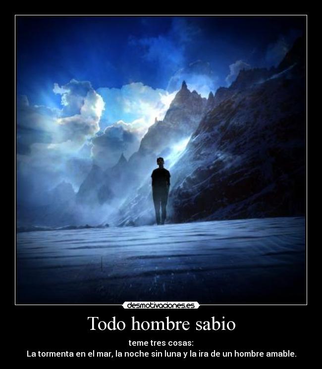 carteles patrick rothfuss temor hombre sabio desmotivaciones
