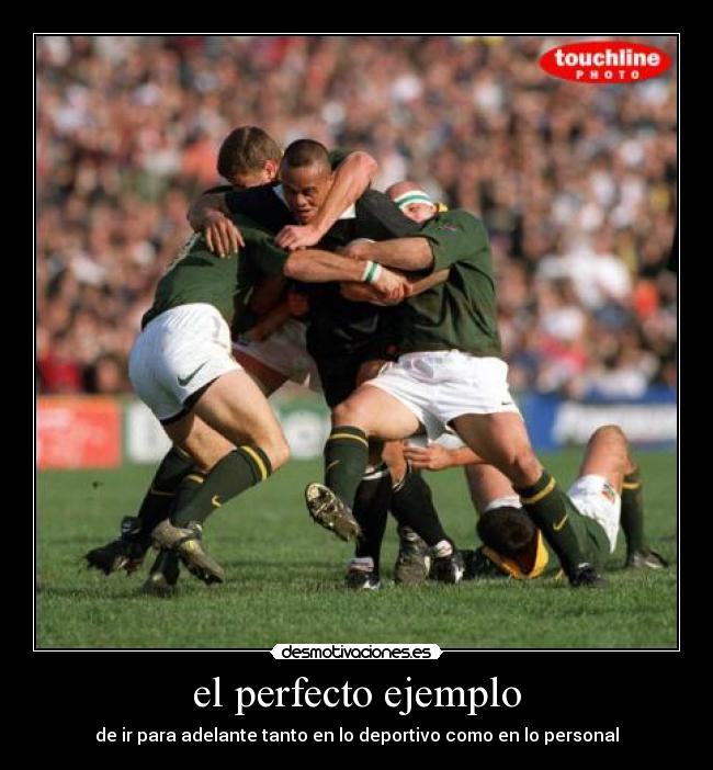 el perfecto ejemplo -