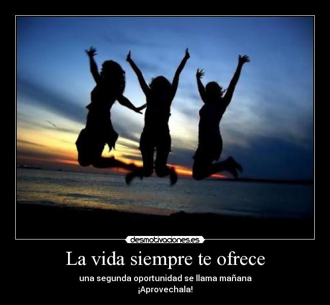 La vida siempre te ofrece -