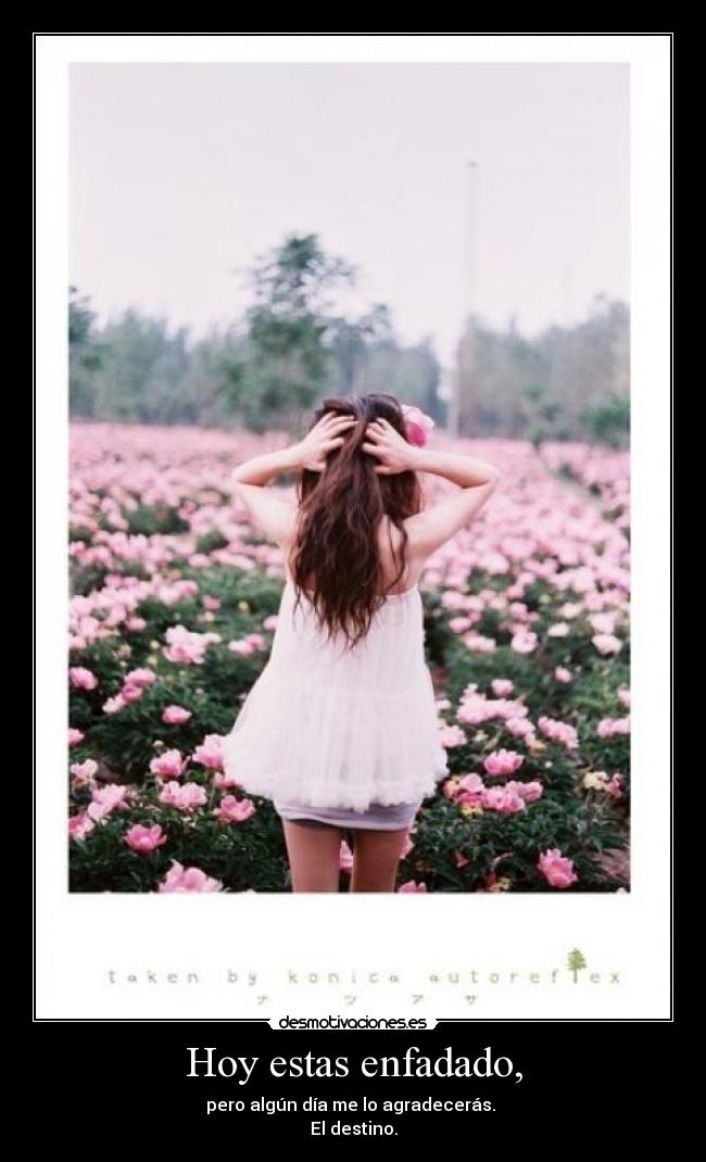 Hoy estas enfadado, -