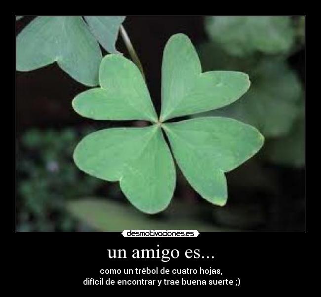 un amigo es... - 