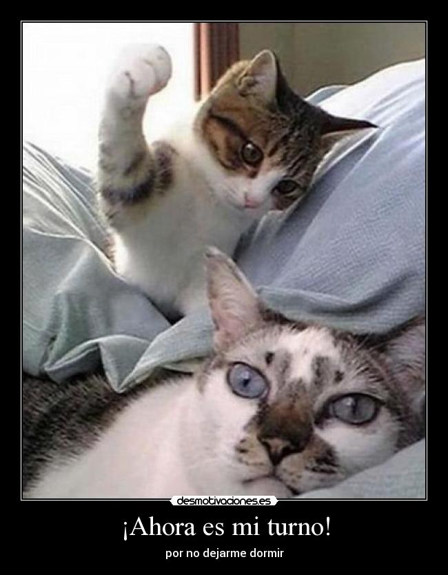 ¡Ahora es mi turno! - por no dejarme dormir