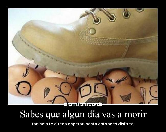 Sabes que algún día vas a morir - tan solo te queda esperar, hasta entonces disfruta.