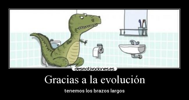Gracias a la evolución - tenemos los brazos largos