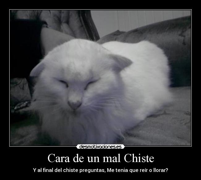 Cara de un mal Chiste - 
