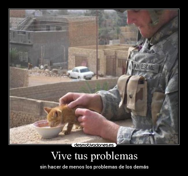 carteles problemas adonis desmotivaciones