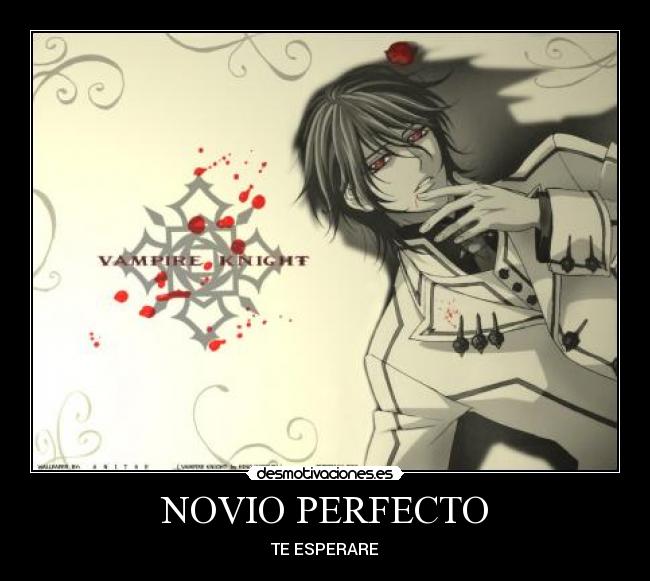 carteles kaname kuran sempai kun vampire knight novio perfecto vampiro esperare desmotivaciones