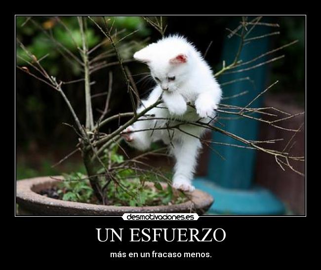 UN ESFUERZO - más en un fracaso menos.