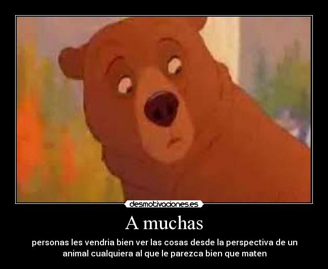 A muchas - 