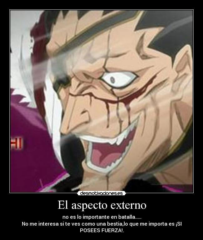 El aspecto externo -