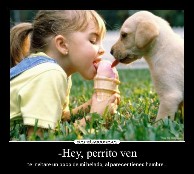 -Hey, perrito ven - te invitare un poco de mi helado; al parecer tienes hambre...