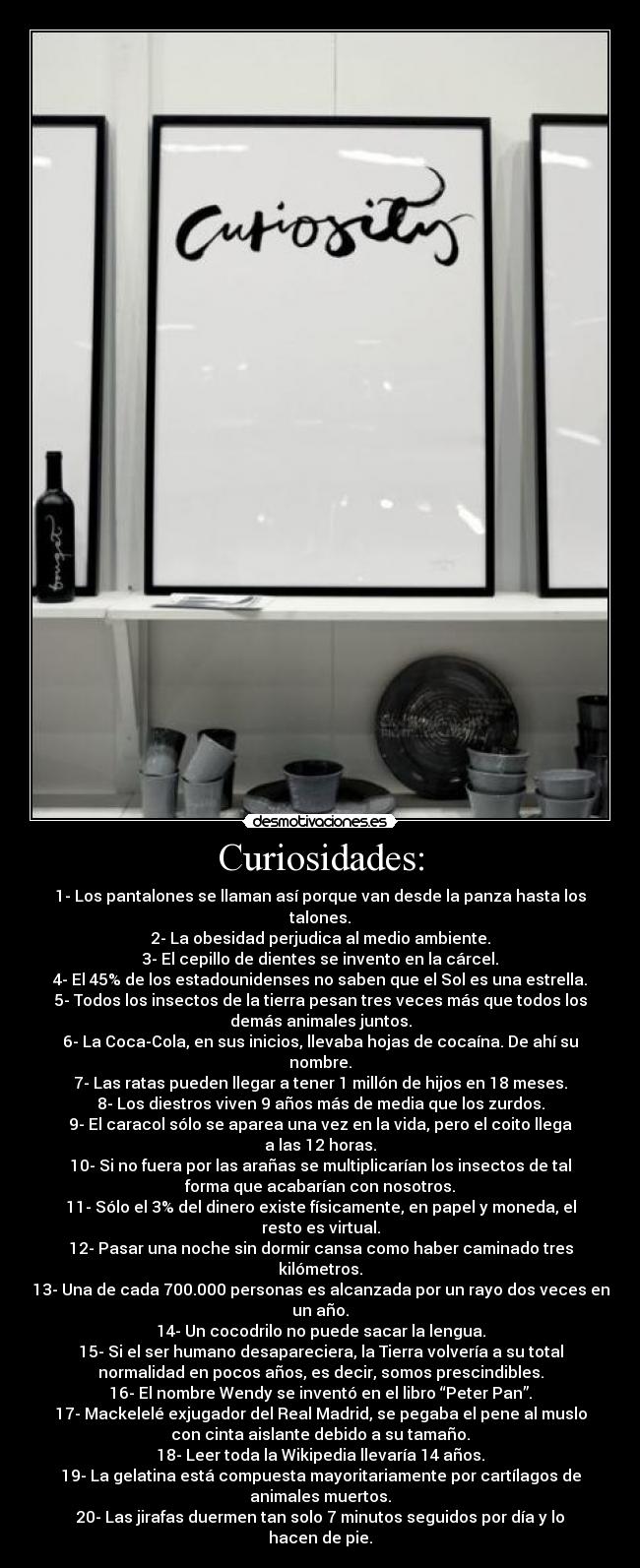 Curiosidades: - 1- Los pantalones se llaman así porque van desde la panza hasta los
talones.
2- La obesidad perjudica al medio ambiente.
3- El cepillo de dientes se invento en la cárcel.
4- El 45% de los estadounidenses no saben que el Sol es una estrella.
5- Todos los insectos de la tierra pesan tres veces más que todos los
demás animales juntos.
6- La Coca-Cola, en sus inicios, llevaba hojas de cocaína. De ahí su
nombre.
7- Las ratas pueden llegar a tener 1 millón de hijos en 18 meses.
8- Los diestros viven 9 años más de media que los zurdos.
9- El caracol sólo se aparea una vez en la vida, pero el coito llega
a las 12 horas.
10- Si no fuera por las arañas se multiplicarían los insectos de tal
forma que acabarían con nosotros.
11- Sólo el 3% del dinero existe físicamente, en papel y moneda, el
resto es virtual.
12- Pasar una noche sin dormir cansa como haber caminado tres
kilómetros.
13- Una de cada 700.000 personas es alcanzada por un rayo dos veces en
un año.
14- Un cocodrilo no puede sacar la lengua.
15- Si el ser humano desapareciera, la Tierra volvería a su total
normalidad en pocos años, es decir, somos prescindibles.
16- El nombre Wendy se inventó en el libro “Peter Pan”.
17- Mackelelé exjugador del Real Madrid, se pegaba el pene al muslo
con cinta aislante debido a su tamaño.
18- Leer toda la Wikipedia llevaría 14 años.
19- La gelatina está compuesta mayoritariamente por cartílagos de
animales muertos.
20- Las jirafas duermen tan solo 7 minutos seguidos por día y lo
hacen de pie.