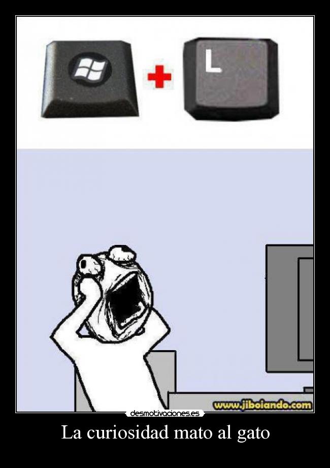 La curiosidad mato al gato -