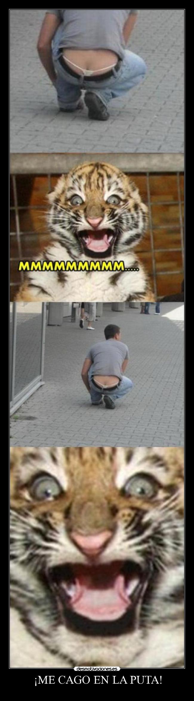 ¡ME CAGO EN LA PUTA! - 