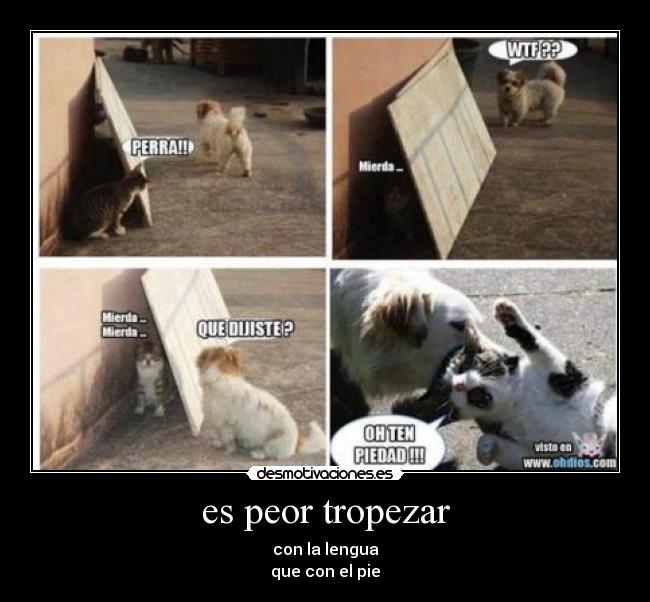 es peor tropezar - con la lengua
que con el pie