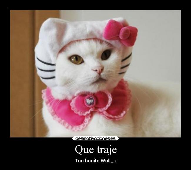 carteles jajaja desmotivaciones