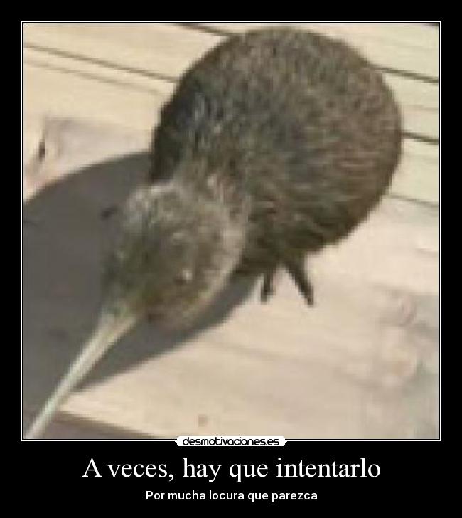 A veces, hay que intentarlo - Por mucha locura que parezca