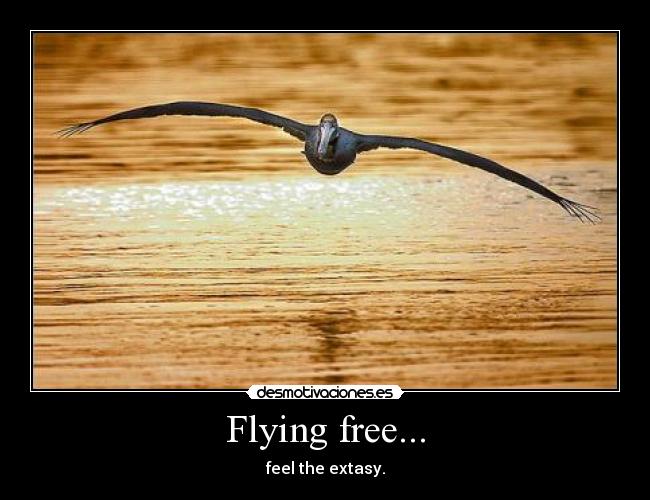 Flying free... - feel the extasy.