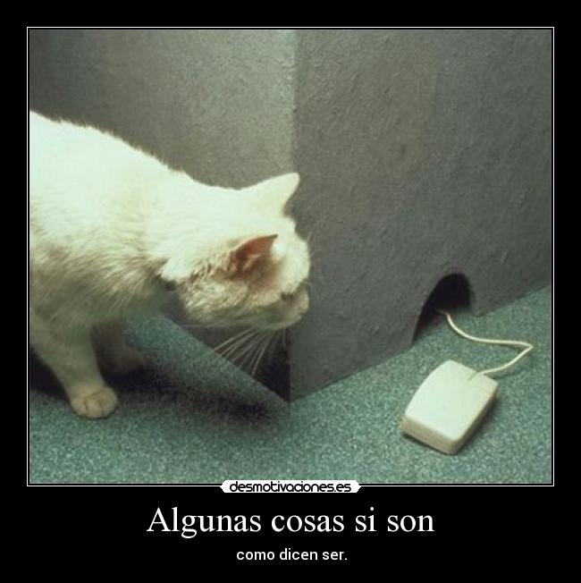Algunas cosas si son - 