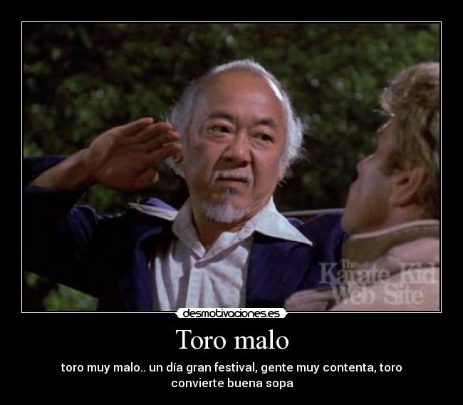 Toro malo - 