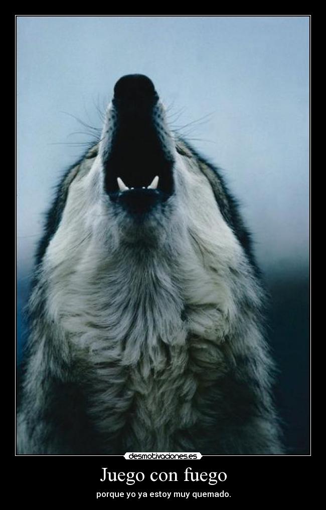 carteles cause there are things the street dont believe desmotivaciones