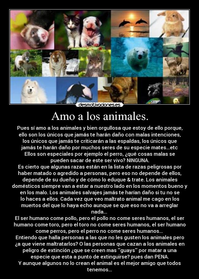 Amo a los animales. -
