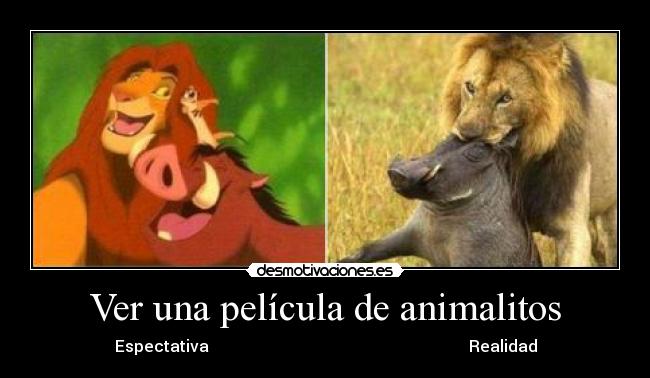 Ver una película de animalitos - 
