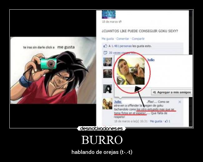 BURRO - hablando de orejas (t-.-t)