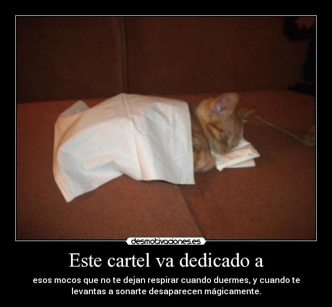 Este cartel va dedicado a - esos mocos que no te dejan respirar cuando duermes, y cuando te
levantas a sonarte desaparecen mágicamente.